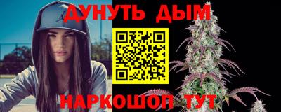сатива Будённовск