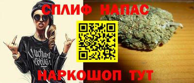 сатива Будённовск