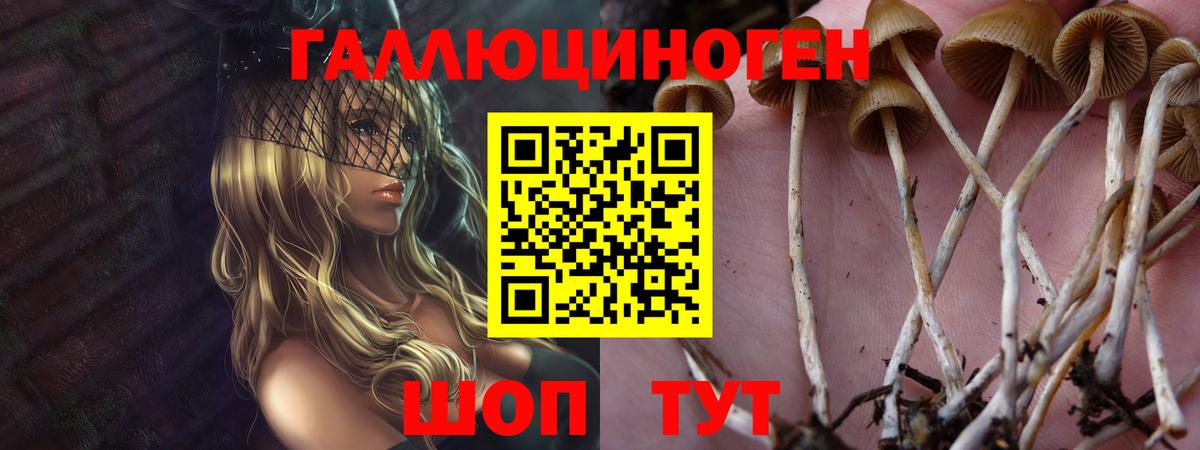 Галлюциногенные грибы ЛСД  Вход с VPN  Озёрск 